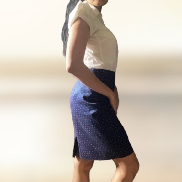 J.Crew Womens No.2 Pencil Skirt Blue With Red Polka dot Size 0 - Picture 11 of 11